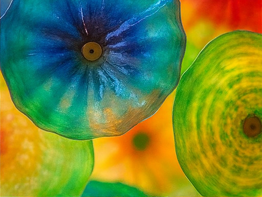 베타 존 스테이지 오픈