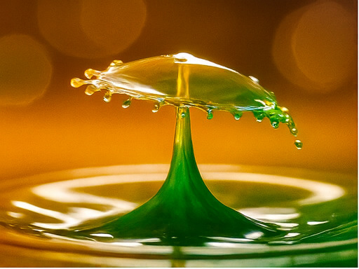 창의적 탐험 세계